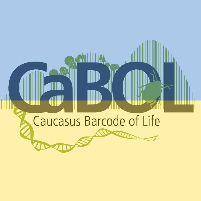 Facebook CaBOL logo