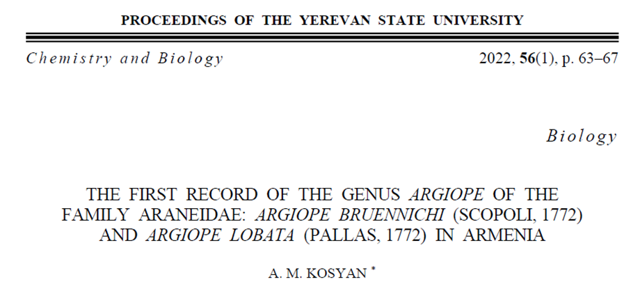 A. Kosyan just added a genus (Argiope, Araneae) to the Checklist of Armenia