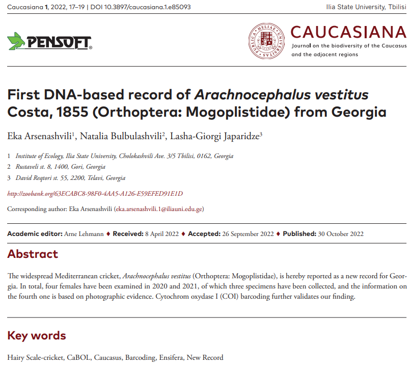 First DNA-based record of Arachnocephalus vestitus Costa, 1855 (Orthoptera: Mogoplistidae) from Georgia