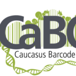 Group logo of CaBOL Team