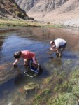 simultaneous-surber-and-manual-sampling-in-the-middle-course-of-hrazdan-river