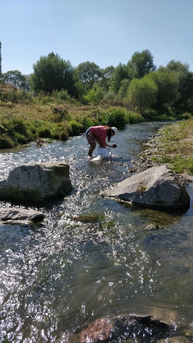 surber-sampling-in-the-upper-course-of-pambak-river
